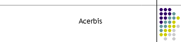 Acerbis